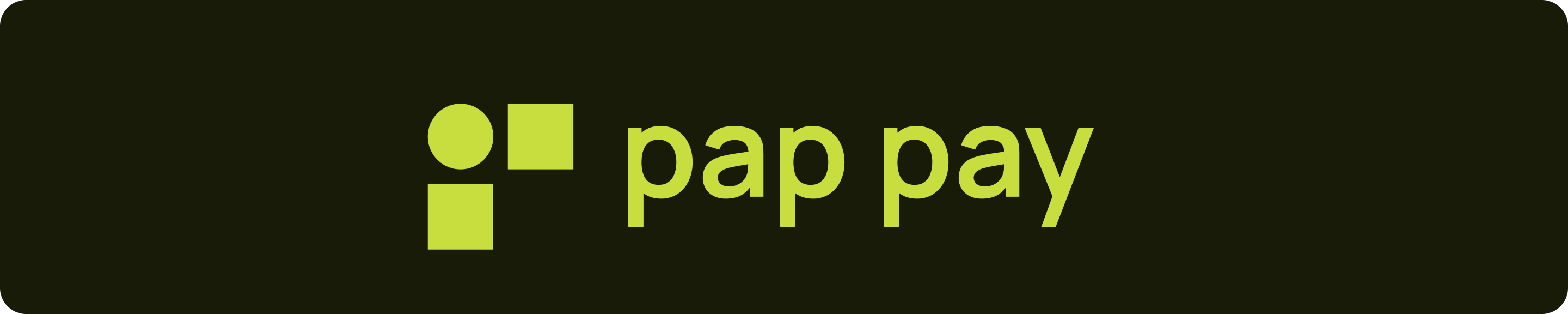 pap pay logo
