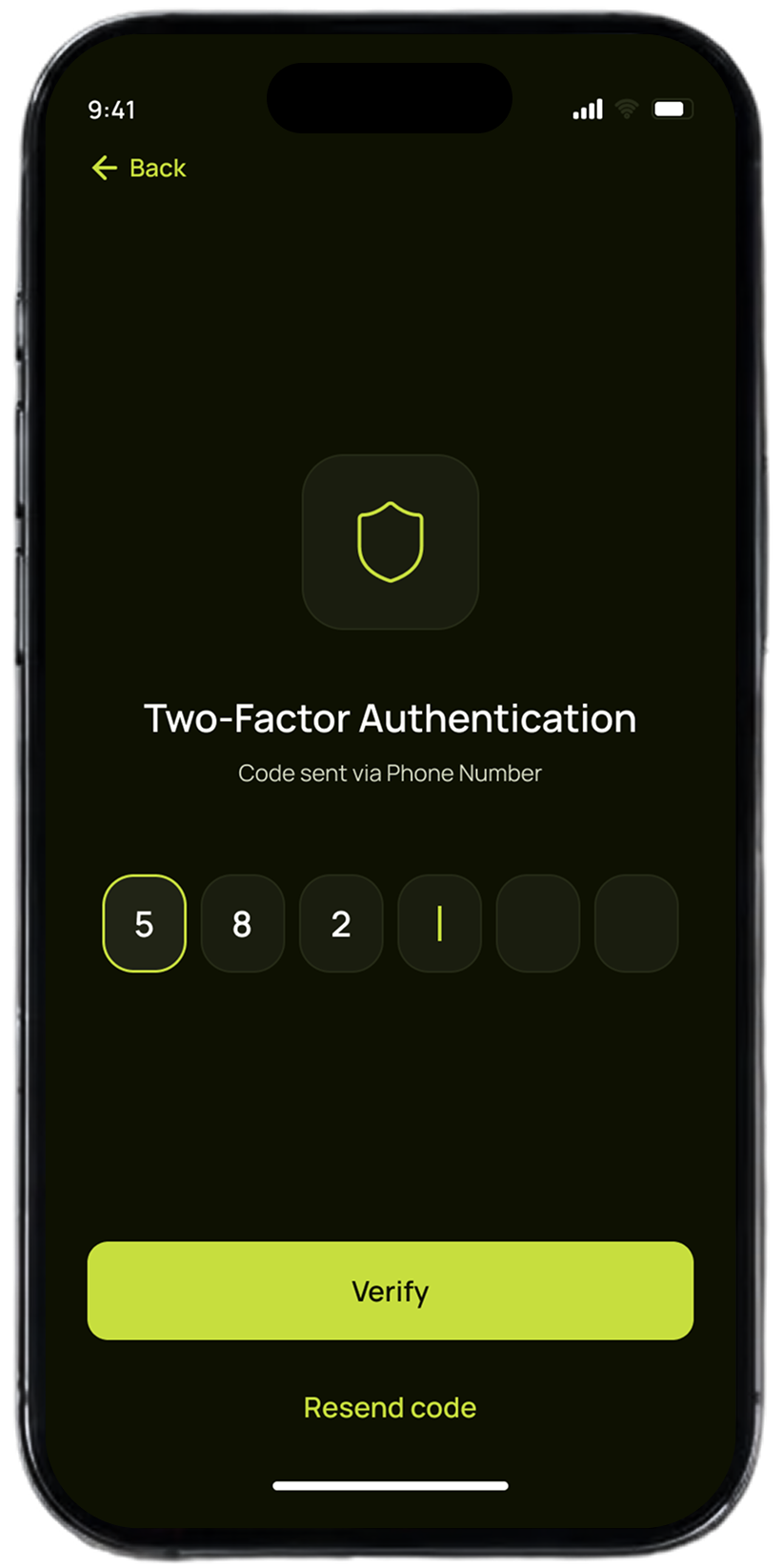 Pap-Pay two-factor authentication screen